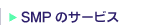 V[E}lWgp[gi[ỸT[rX