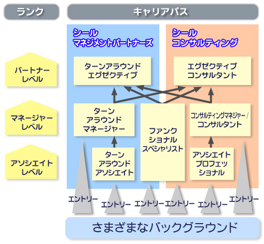 キャリアパス